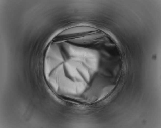 X0000090880910200708241938