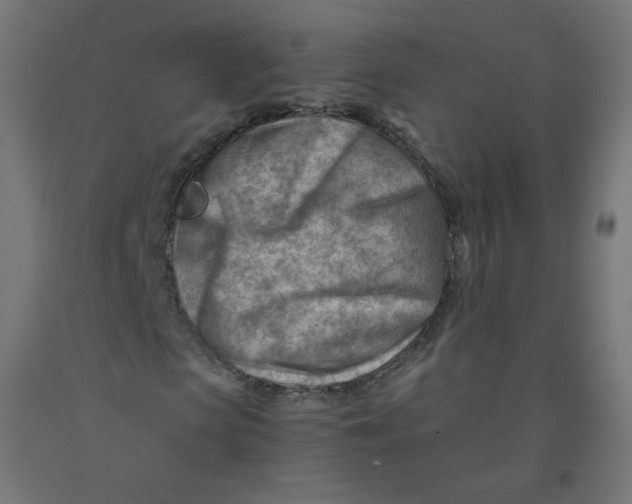 X0000090880913200708241937