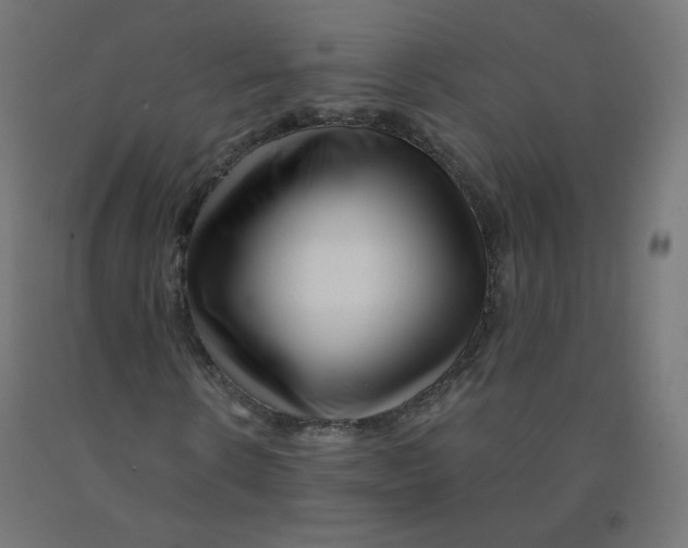 X0000090880914200708241937