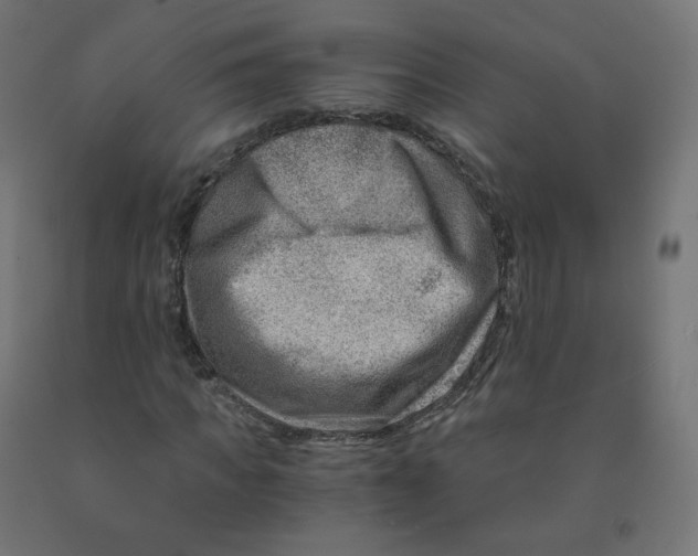 X0000090880917200708241937