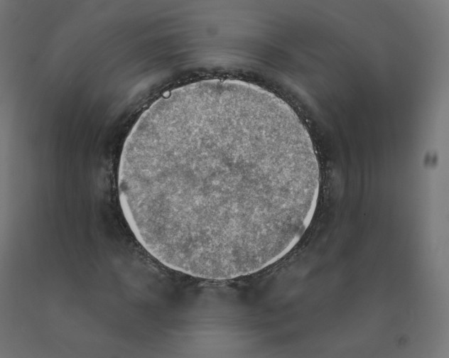 X0000090880918200708241937