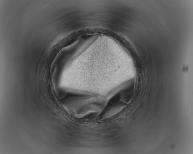 X0000090880919200708241937