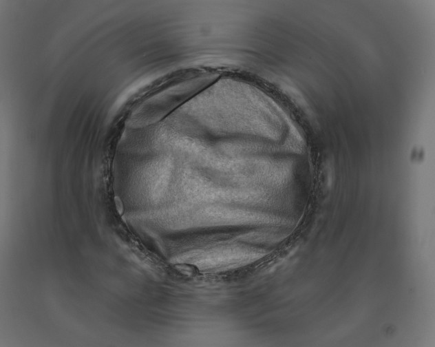 X0000090880920200708241937