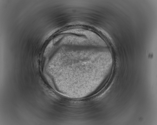 X0000090880921200708241937