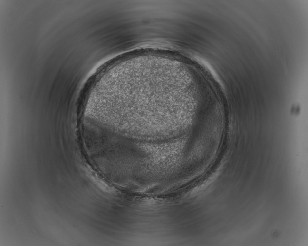 X0000090880923200708241937