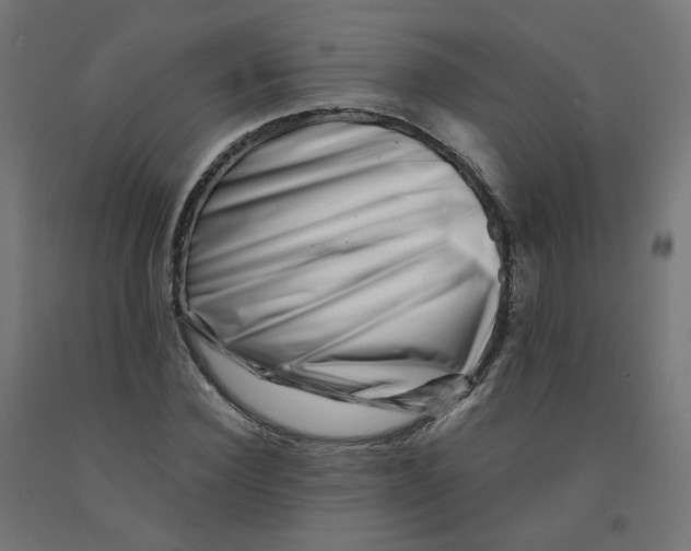 X0000090880924200708241937