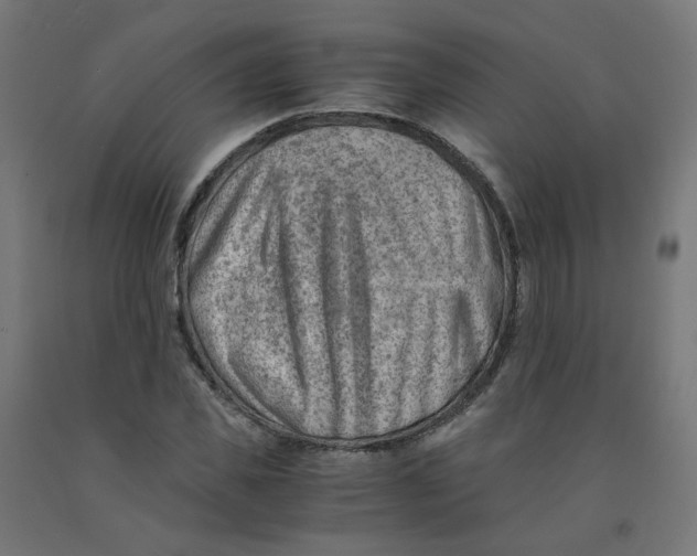 X0000090880925200708241937