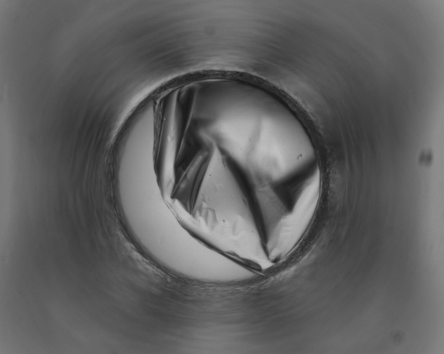 X0000090880926200708241937