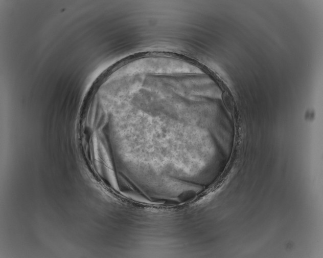 X0000090880928200708241937