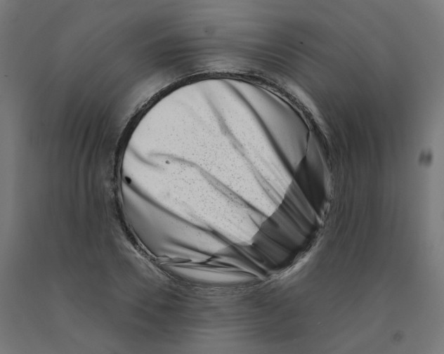 X0000090880930200708241937