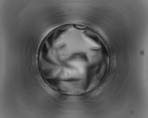 X0000090880932200708241937