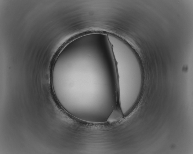 X0000090880934200708241937