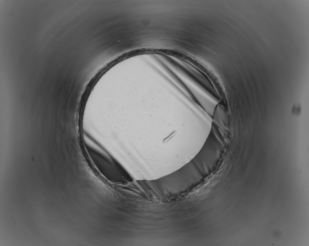 X0000090880935200708241937