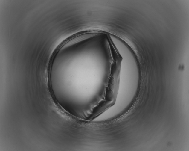 X0000090880936200708241937