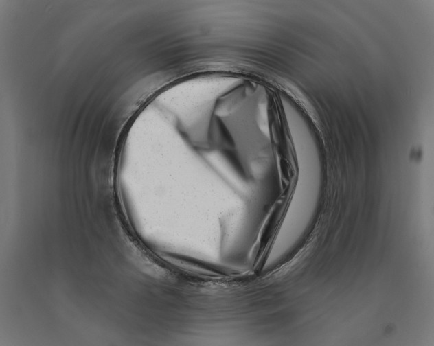 X0000090880938200708241937