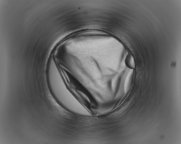 X0000090880939200708241937