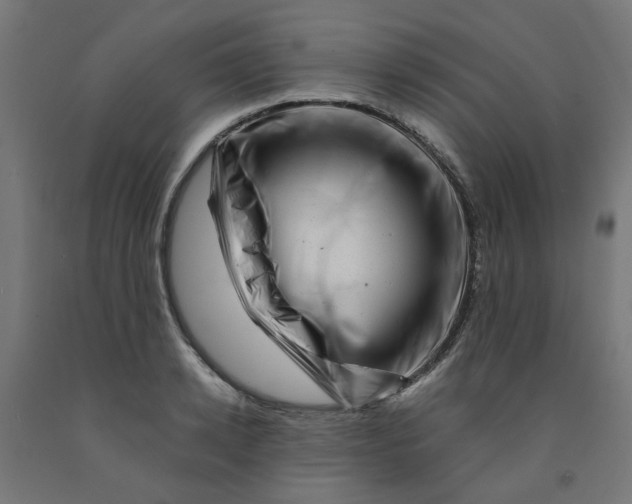 X0000090880942200708241937