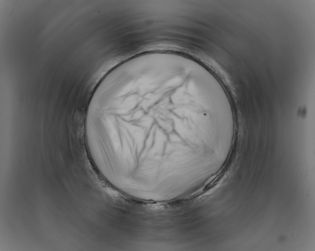 X0000090880945200708241937