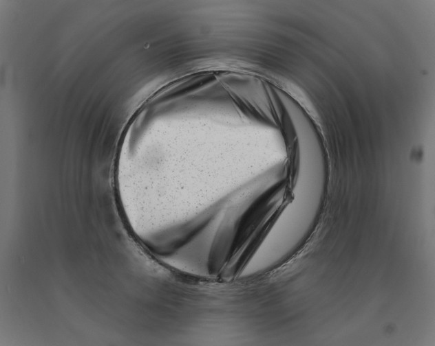 X0000090880946200708241937