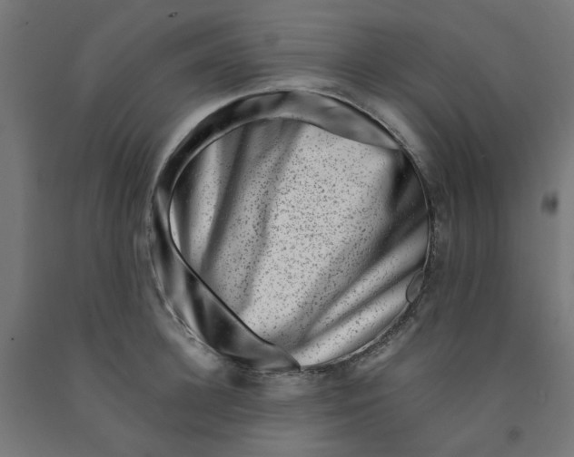 X0000090880948200708241937