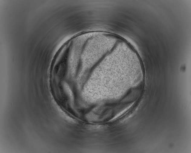 X0000090880949200708241937