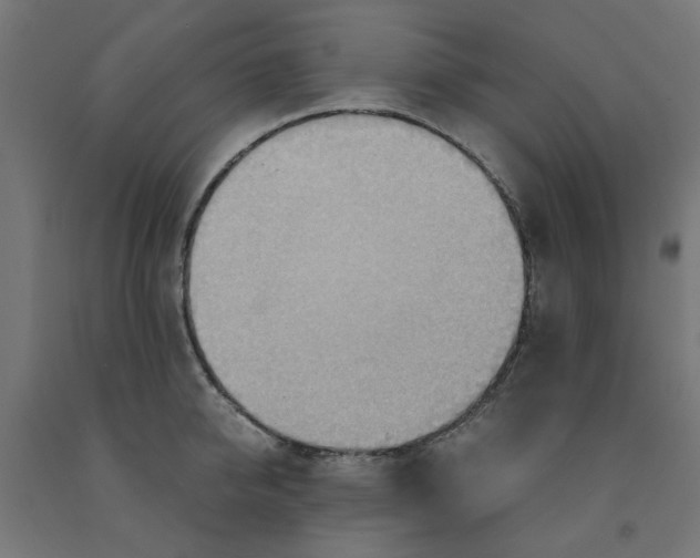 X0000090880950200708241937