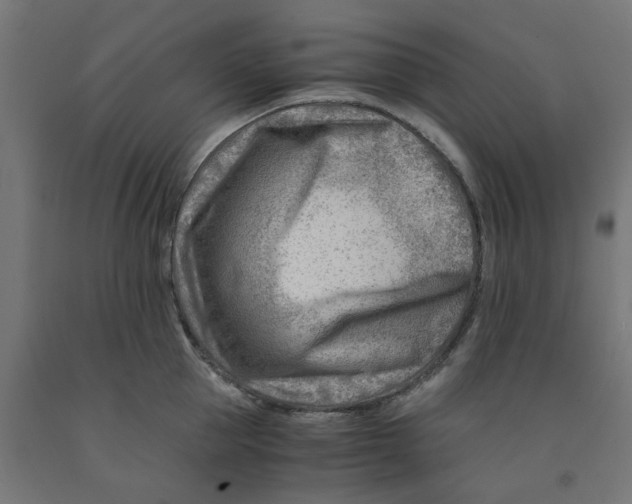 X0000090880953200708241938