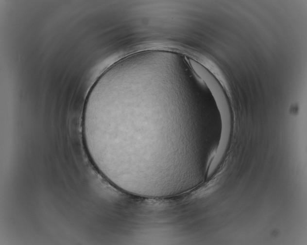 X0000090880954200708241938