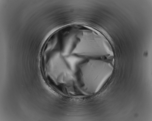 X0000090880955200708241938