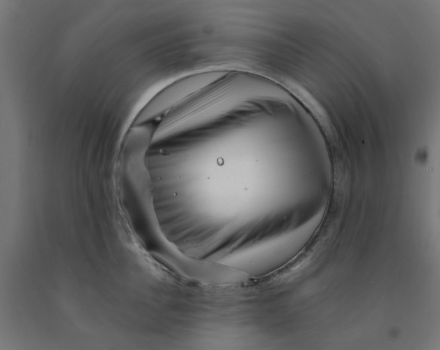 X0000090880956200708241938