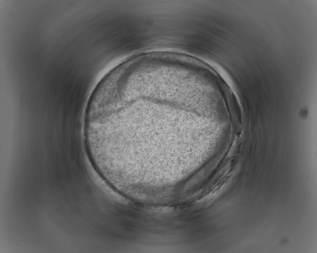 X0000090880957200708241938