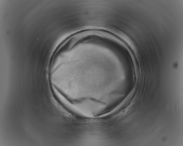 X0000090880958200708241938