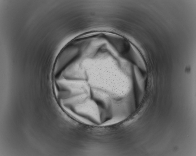 X0000090880959200708241938