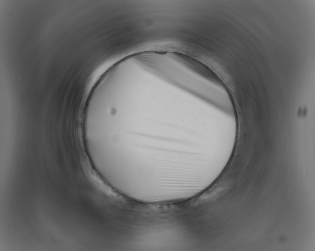 X0000090880960200708241938