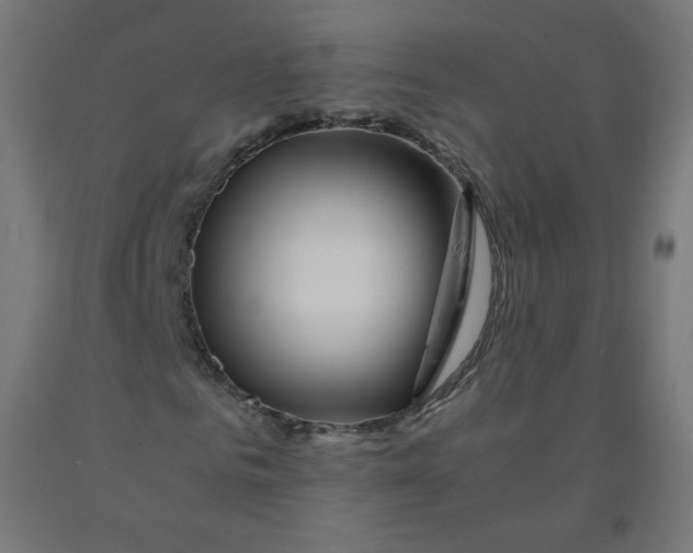 X0000090880961200708241937