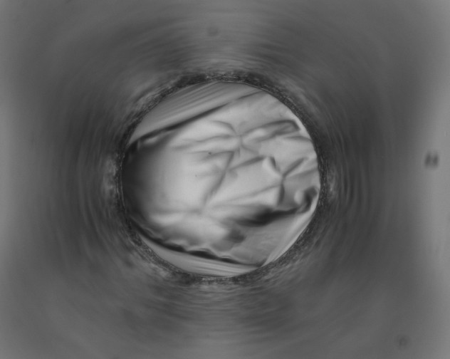 X0000090880964200708241937