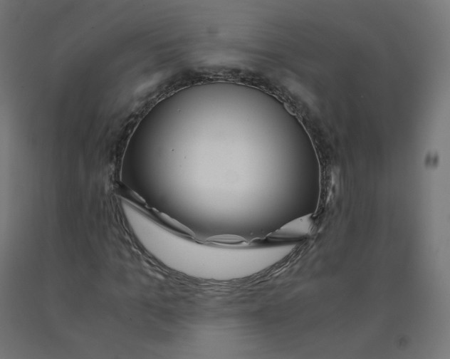 X0000090880965200708241937