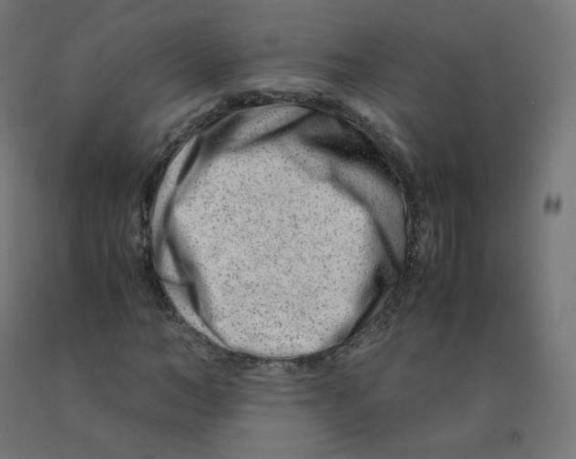 X0000090880966200708241937