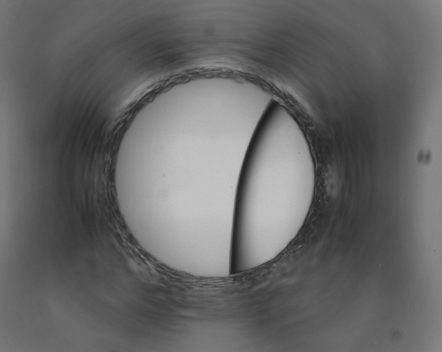 X0000090880968200708241937