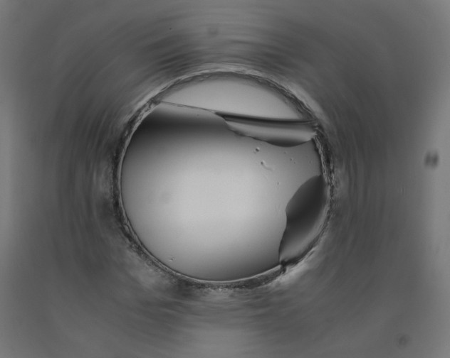 X0000090880969200708241937