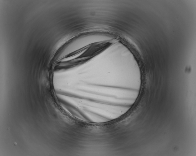 X0000090880970200708241937