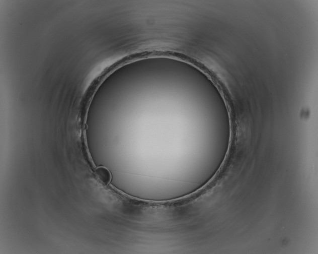 X0000090880973200708241937