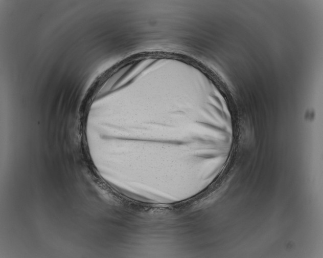 X0000090880974200708241937