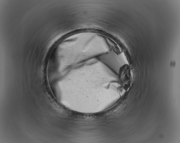 X0000090880975200708241937