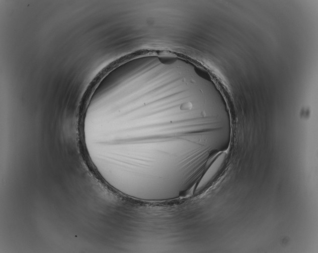 X0000090880976200708241937