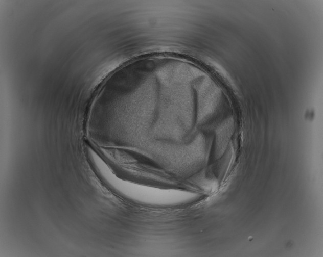 X0000090880977200708241937