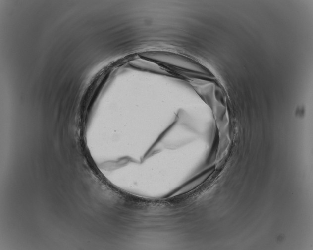 X0000090880979200708241937