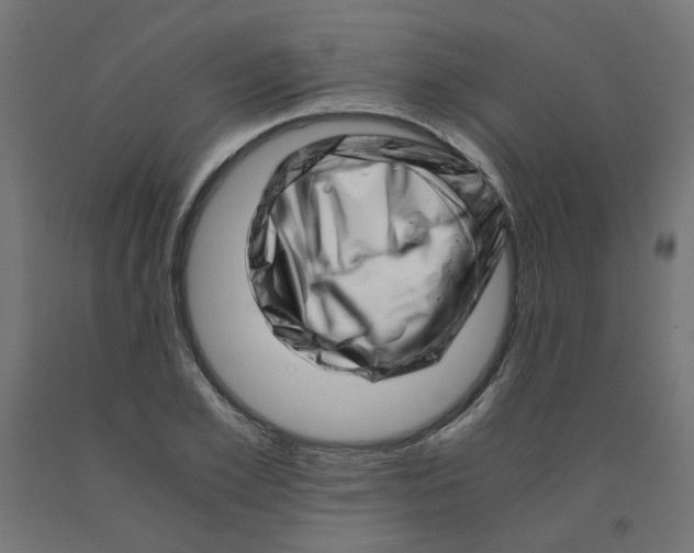 X0000090880981200708241937