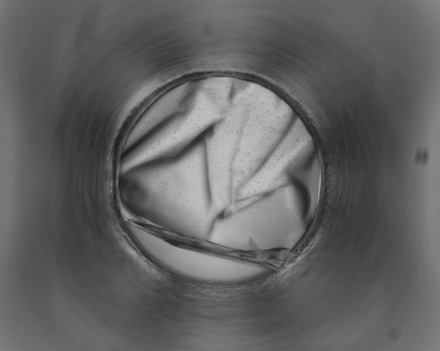 X0000090880982200708241937