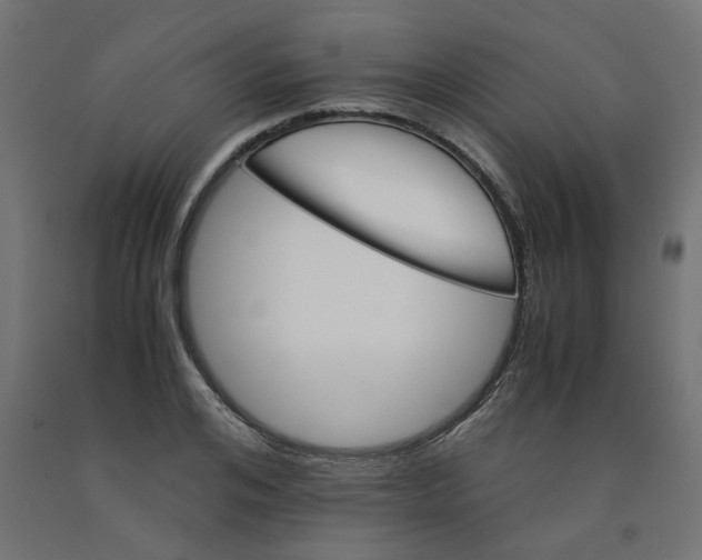 X0000090880984200708241937